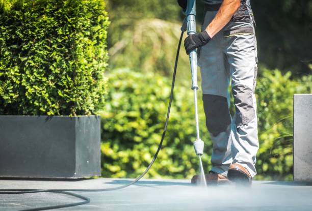 Best Animal Enclosure Cleaning  in Beaumont, TX